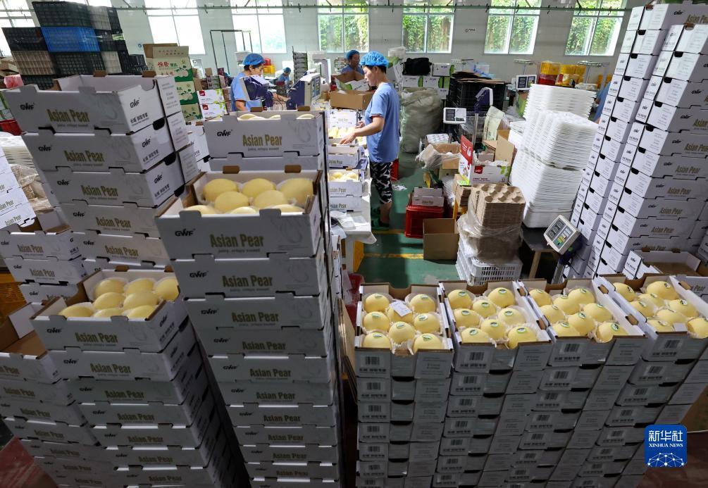 威尼斯app在那里玩下载
